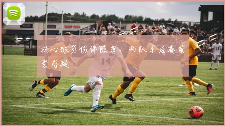 核心球员伤停隐患，两队季后赛前景存疑