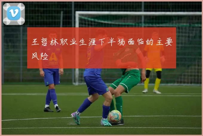 王哲林职业生涯下半场面临的主要风险